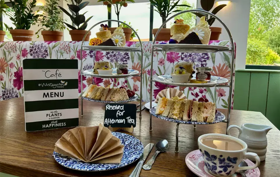 Afternoon Tea