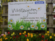 Whitegates Nursery Limited