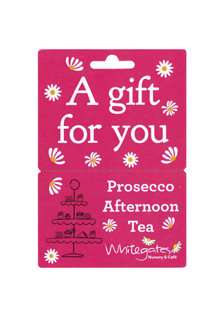 1 x Prosecco Tea