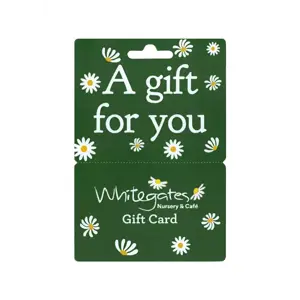 Gift Card - Dark Green