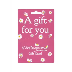 Gift Card - Pink